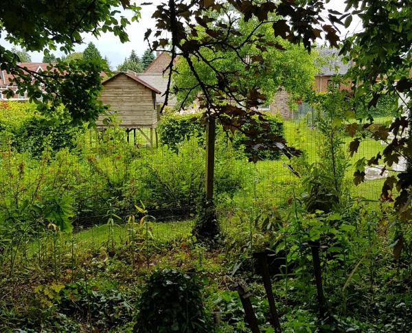 Foto dell'alloggio