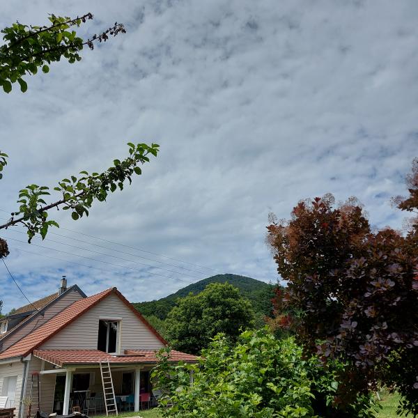 Foto dell'alloggio
