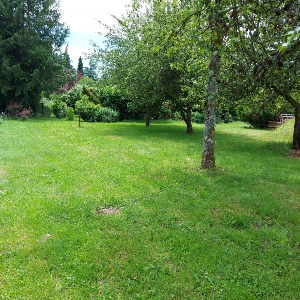 Foto dell'alloggio