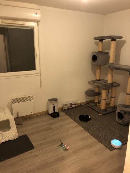 Foto dell'alloggio