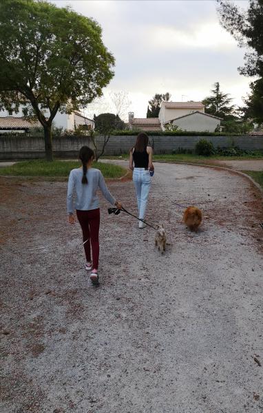 Foto dell'alloggio