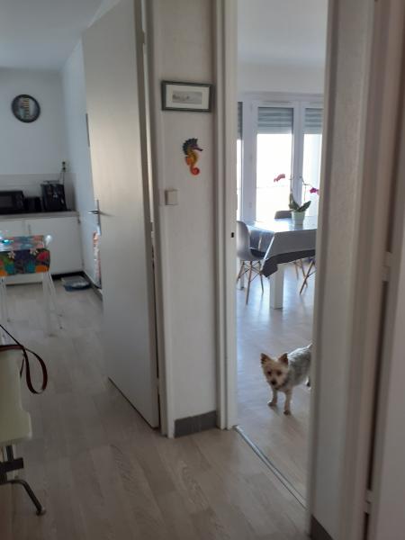 Foto dell'alloggio