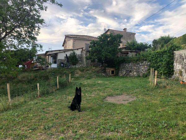 Foto dell'alloggio