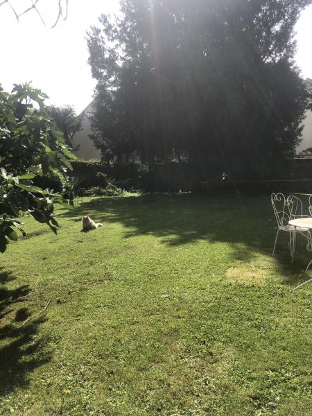 Foto dell'alloggio