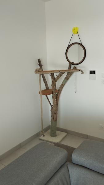 Foto dell'alloggio