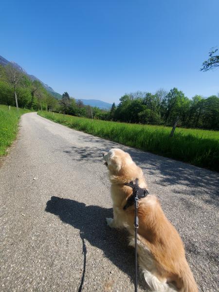 Foto dell'alloggio