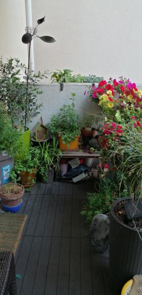 Foto dell'alloggio
