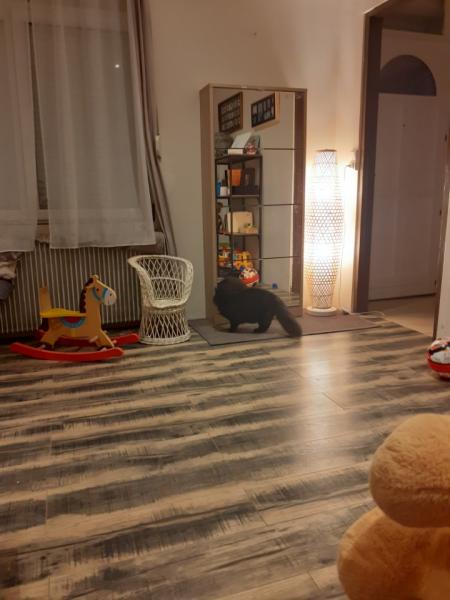 Foto dell'alloggio