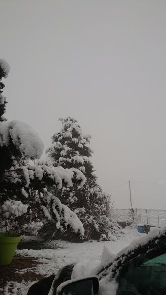 Foto dell'alloggio