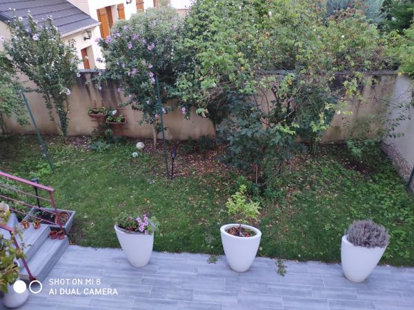 Foto dell'alloggio