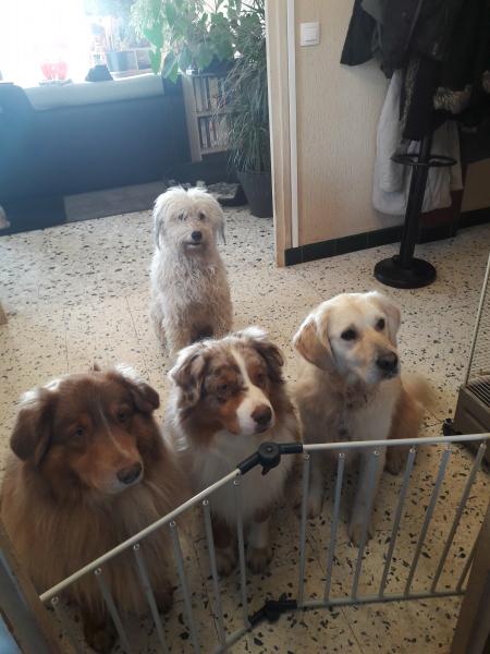 Foto dell'alloggio