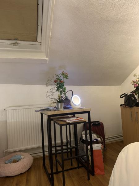 Foto dell'alloggio