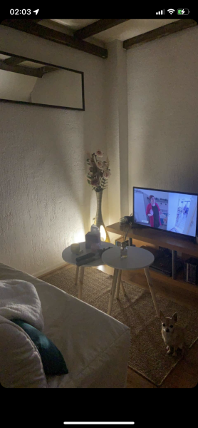 Foto dell'alloggio