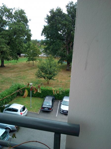 Foto dell'alloggio