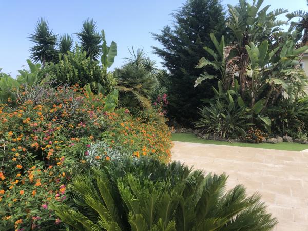 Foto dell'alloggio