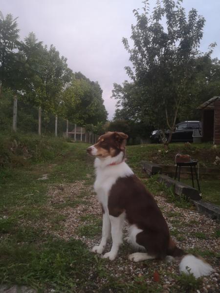 Foto dell'alloggio