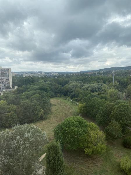 Foto dell'alloggio