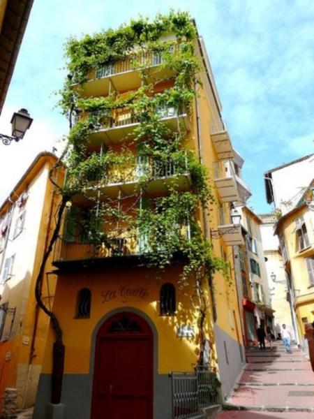 Foto dell'alloggio