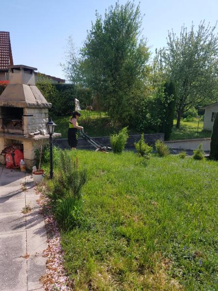 Foto dell'alloggio