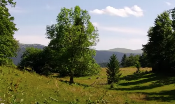 Foto dell'alloggio
