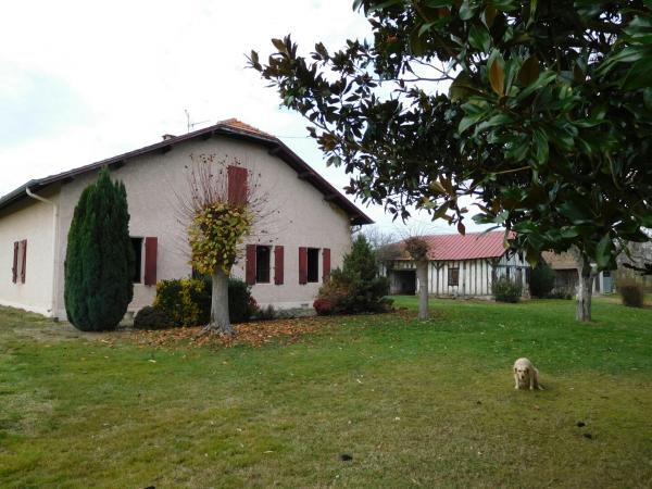 Foto dell'alloggio
