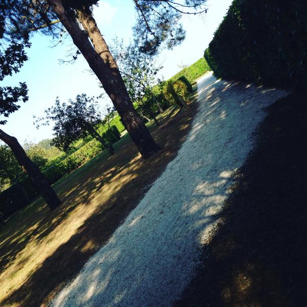 Foto dell'alloggio