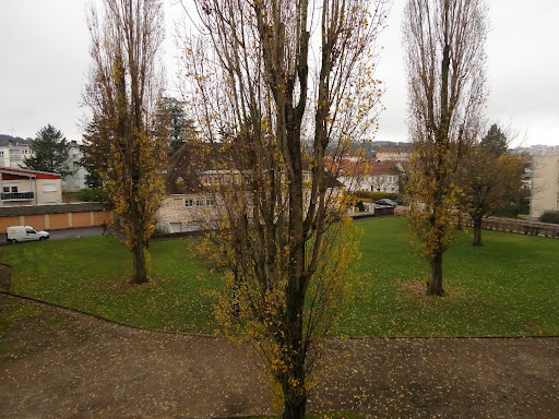 Foto dell'alloggio