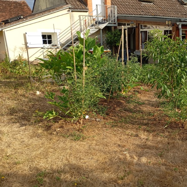 Foto dell'alloggio