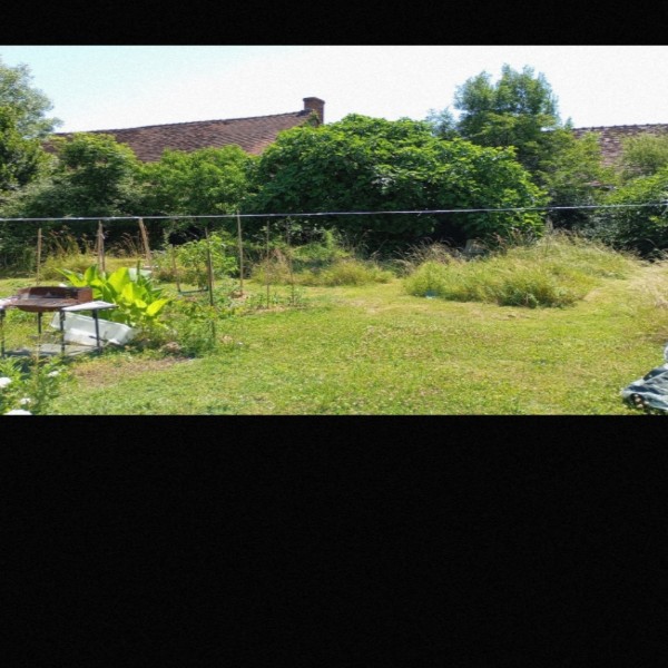 Foto dell'alloggio