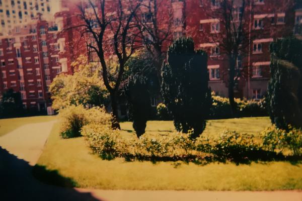 Foto dell'alloggio