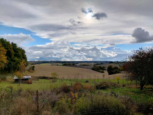 Foto dell'alloggio