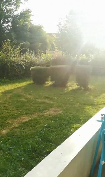 Foto dell'alloggio