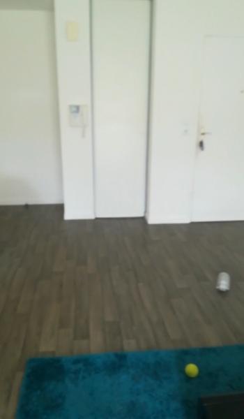 Foto dell'alloggio
