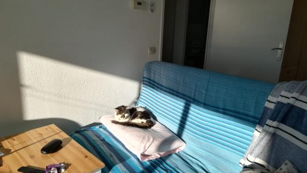 Foto dell'alloggio