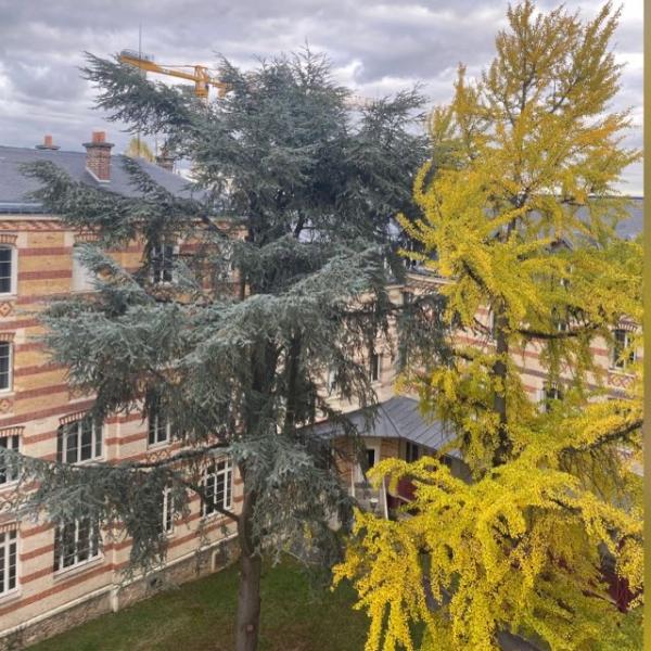 Foto dell'alloggio