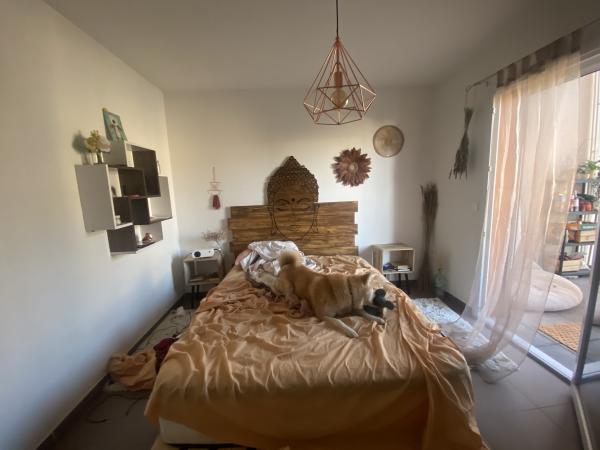 Foto dell'alloggio
