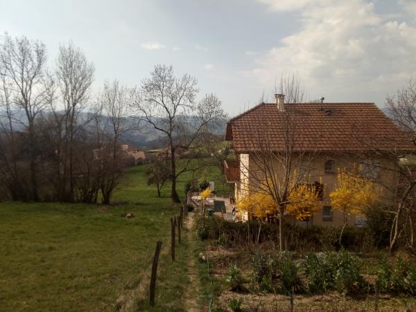 Foto dell'alloggio