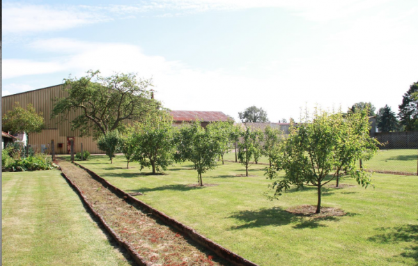 Foto dell'alloggio