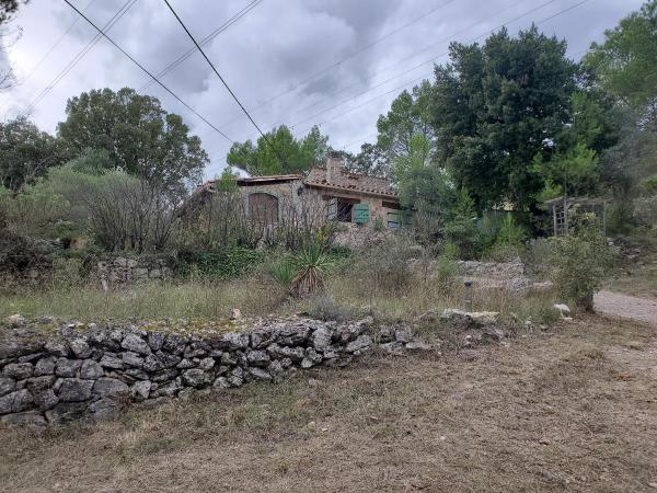 Foto dell'alloggio