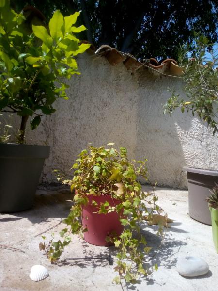 Foto dell'alloggio