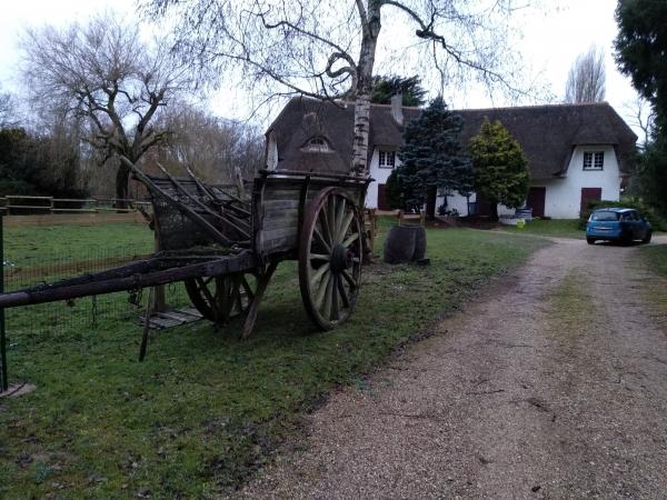 Foto dell'alloggio