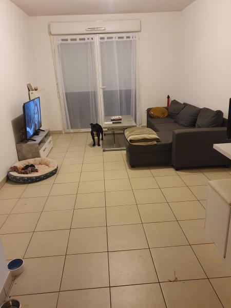 Foto dell'alloggio