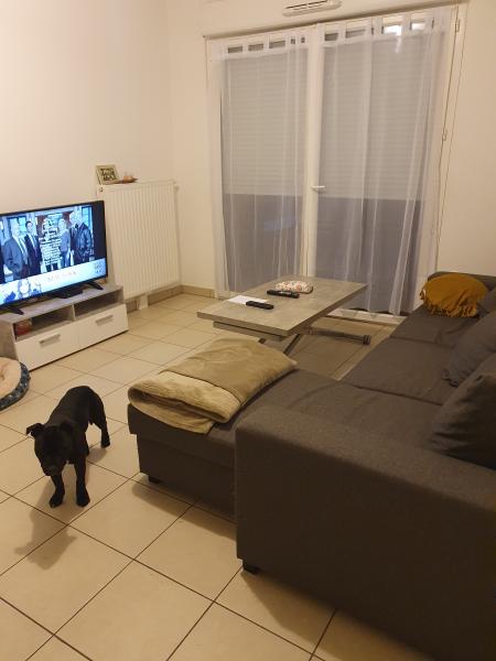 Foto dell'alloggio