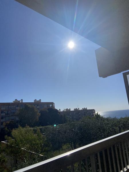 Foto dell'alloggio