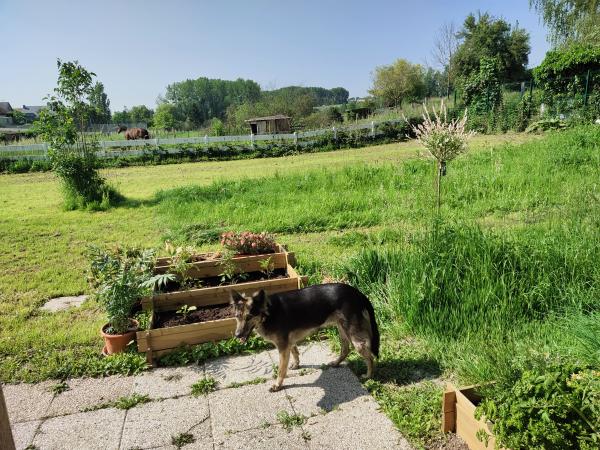Foto dell'alloggio