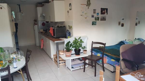 Foto dell'alloggio