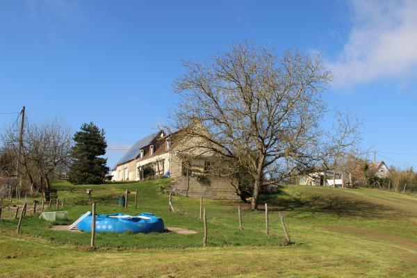 Foto dell'alloggio