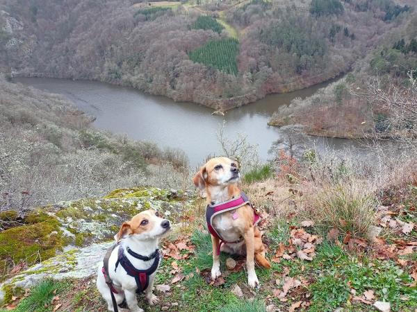 Foto dell'alloggio