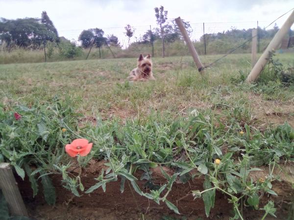 Foto dell'alloggio
