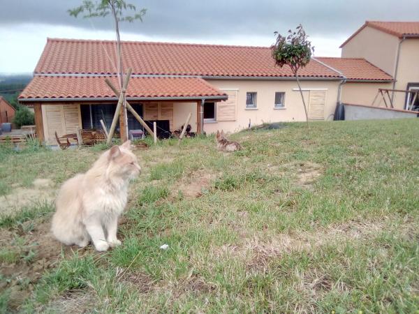 Foto dell'alloggio